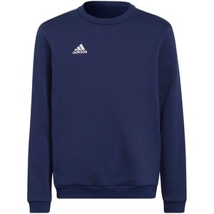 Vaikiškas Megztinis Adidas Entrada 22 Sweat Top