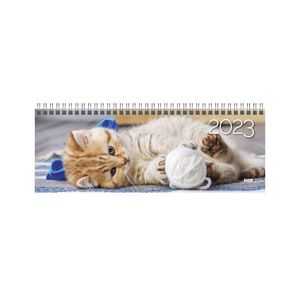 Stalinis kalendorius Timer Cat, 290x105mm, kartoninis laminuotas viršelis