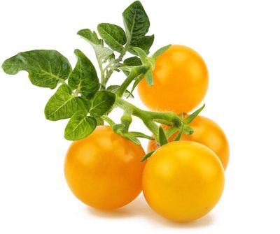 Click & Grow Smart Garden refill Yellow Mini Tomato 3pcs