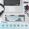 Royal Kludge RK100 Tri-mode Wireless Keyboard | 96%, Hot-swap, Brown Switches, US, White