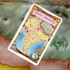 Ticket to Ride Map Collection 2: India & Switzerland