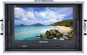 SEETEC MONITOR P173-9HSD-CO 17.3" CARRY-ON