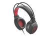 GENESIS RADON 300 HEADSET | USB