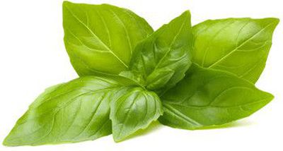 Click  and  Grow Smart Refill Lemon Basil 3pcs