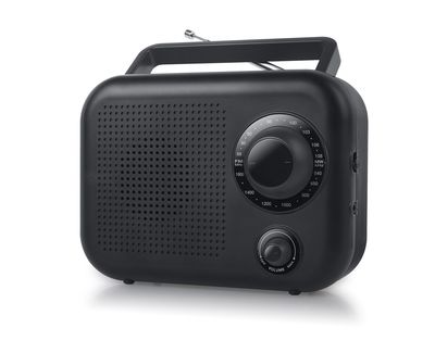 Radijo imtuvas New-One Portable radio 2 ranges R210