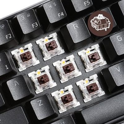 Royal Kludge Brown switchai | Gateron (35 vnt)