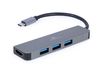 Cablexpert USB Type-C 2-in-1 multi-port adapter (Hub + HDMI)