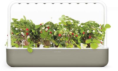 Click & Grow Smart Garden 9, beige