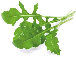 Click & Grow Smart Garden refill Arugula 3pcs