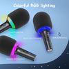 FIFINE AMPLISING E2 wireless karaoke microphone with RGB (Black)