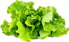 Click & Grow Smart Garden refill Lettuce 3pcs