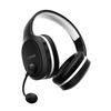 TRUST GXT 391 Thian Wireless headset