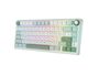 Royal Kludge RK R75 RGB Sky Cyan wired keyboard | 75%, Hot-swap, Chartreuse switches, US