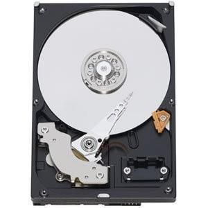 WD Blue 1TB SATA 3.5inch HDD 6Gb/s