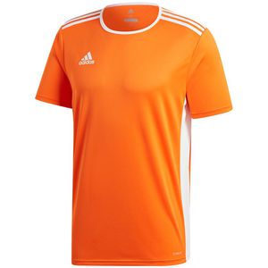 Vaikiški Marškinėliai "Adidas Entrada 18 Jersey JUNIOR" Oranžinė CF1043