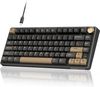 Royal Kludge RK R75 RGB Phantom wired keyboard | 75%, Hot-swap, Brown switches, US