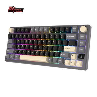 Royal Kludge RK M75 RGB Phantom wireless keyboard | 75%, Hot-swap, Silver switches, US