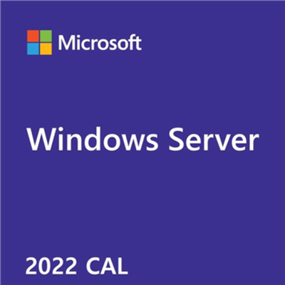 MS Windows Server CAL 2022 English 1pk DSP OEI 1 Clt Device CAL
