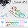 Royal Kludge RK100 White Wireless Keyboard | 96%, Hot-swap, Blue Switches, US, White