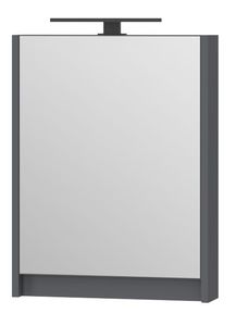 Spintelė LEOMC-50 su veidrodžiu pilka pakabinama