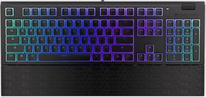 Endorfy Omnis mechanical keyboard with RGB Pudding Edition (US, Kailh BLUE switch)