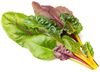 Click & Grow Smart Refill Rainbow Chard 3pcs