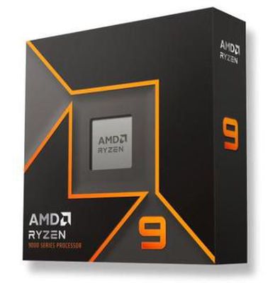 AMD Ryzen 9 9900X 12/24T 9900X (4.4GHz/5.6GHz,76MB,120W,AM5) box, with Radeon Graphics