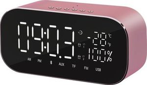 Radio clock ABTS-S2GOLD