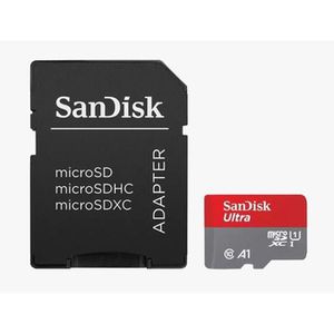 MEMORY MICRO SDXC 64GB UHS-I/W/A SDSQUAB-064G-GN6MA SANDISK