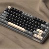 Royal Kludge RK R75 RGB Phantom wired keyboard | 75%, Hot-swap, Silver switches, US