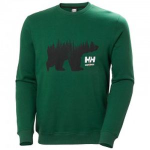 Džemperis HELLY HANSEN Graphic Sweatshirt, žalias S