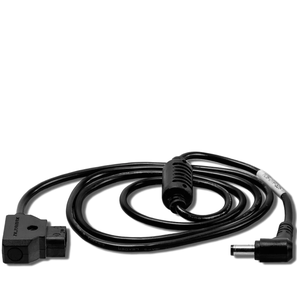P-TAP to 5.5/2.5mm DC Male Power Cable (30cm)