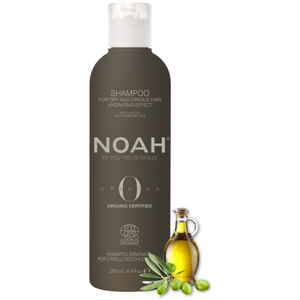 Noah Origins Hydrating Shampoo For Dry Hair Drėkinamasis šampūnas sausiems plaukams, 250ml