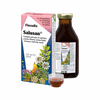 Vaistažolių vitaminai – Floradix Salusan, 250 ml