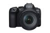 Canon EOS R6 Mark II + RF 24-105mm F4 L IS USM