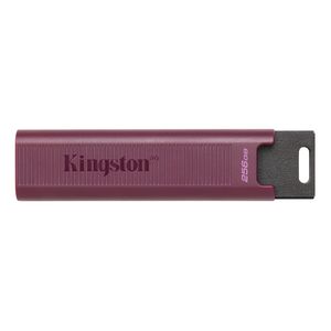 USB raktas Kingston DataTraveler MAX 256GB USB 3.2 Gen 2 Standard, Type-A