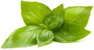 Click  and  Grow Smart Refill Lemon Basil 3pcs