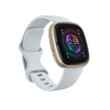 Fitbit Sense 2 Watch 41mm, NFC, GPS, Shadow Grey/Graphite Aluminium - išmanusis laikrodis
