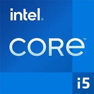 Intel® Core™ i5-12600K, 10 Cores (6 Performance-cores) 2.8-4.9GHz LGA1700 (Intel dėžutėje neprideda aušntuvo)