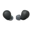 Sony WF-C700N Truly Wireless ANC Earbuds, Black