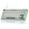 Royal Kludge RK R75 RGB Sky Cyan wired keyboard | 75%, Hot-swap, Silver switches, US