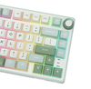 Royal Kludge RK R75 RGB Sky Cyan wired keyboard | 75%, Hot-swap, Chartreuse switches, US