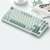 Royal Kludge RK R75 RGB Sky Cyan wired keyboard | 75%, Hot-swap, Chartreuse switches, US