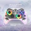 DELTACO GAMING GAM-149-T RGB belaidis valdiklis skirtas Nintendo Switch/PC