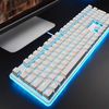 Royal Kludge RK918 RGB white wired mechanical keyboard | 100%, Brown switches, US