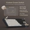 Royal Kludge R65 RGB Phantom wired mechanical keyboard | 600%, Brown switches, US