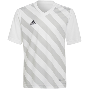 Vaikiški Marškinėliai Adidas Entrada 22 Baltai Pilkas HF0120