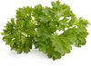 Click & Grow Smart Garden refill Parsley 3pcs