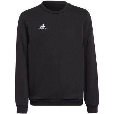 Vaikiškas Megztinis Adidas Entrada 22 Sweat Top