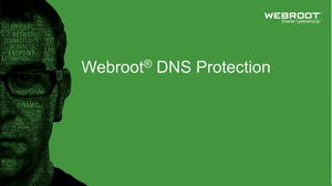Antivirusinė programa Webroot DNS Protection with GSM Console, trukmė 2 metai, licencija 10-99 vartotojams